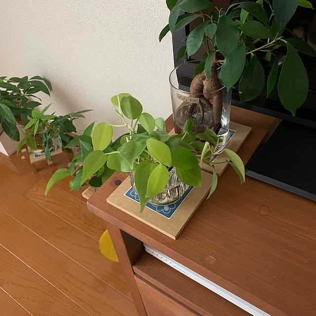 ez33cさんの部屋