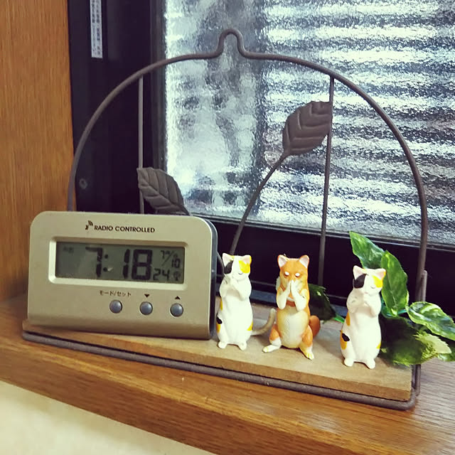 Tirorinさんの実例写真