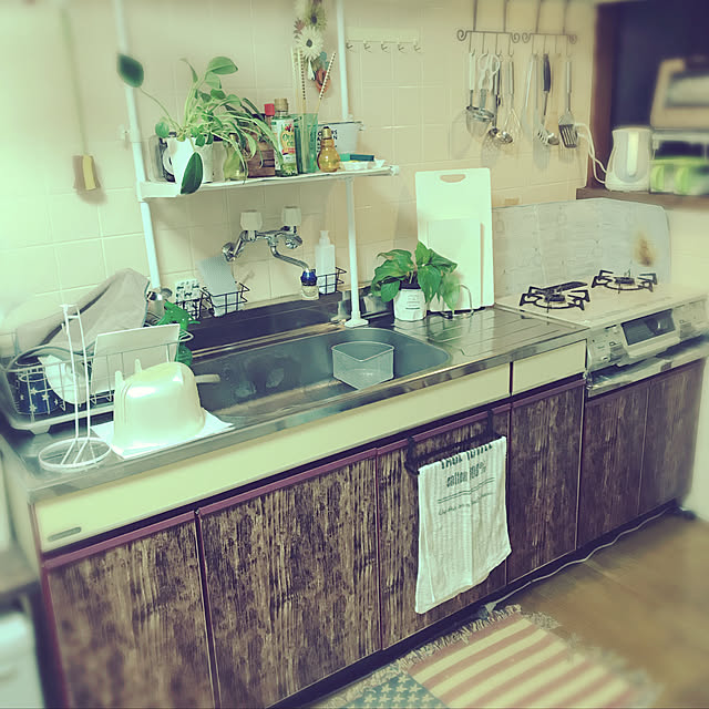 キッチン/100均/セリア/ダイソー/観葉植物のインテリア実例 - 2017-11-12 19:39:32