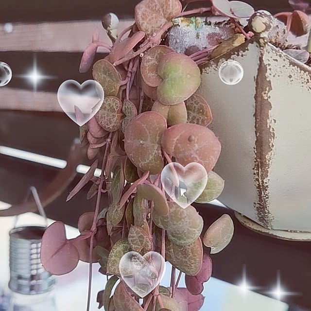 mocomocoさんの部屋
