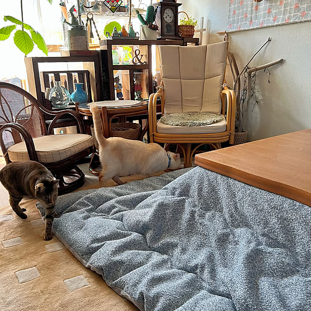mohhaさんの実例写真