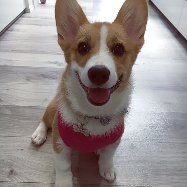 3ayuさんの実例写真