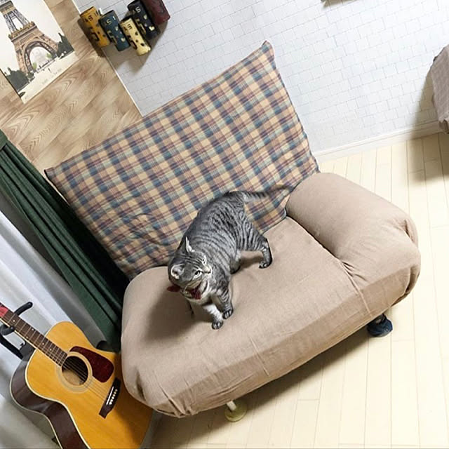 MARIRUさんの実例写真