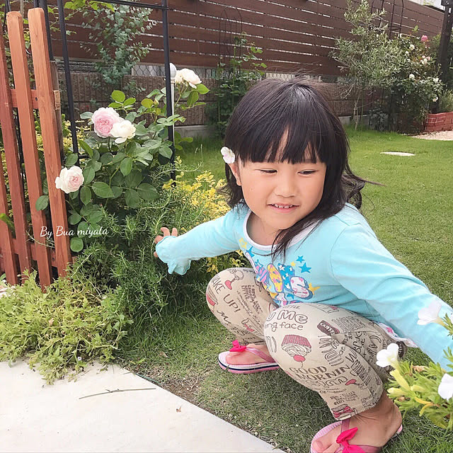 Buaさんの実例写真