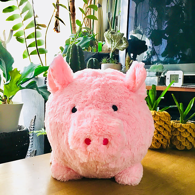 kasumiさんの実例写真