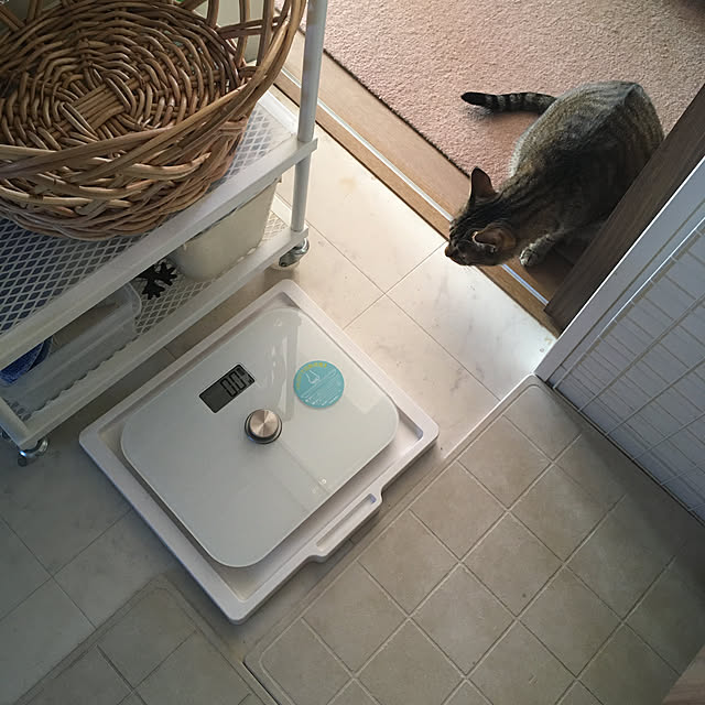 mikomaruさんの実例写真
