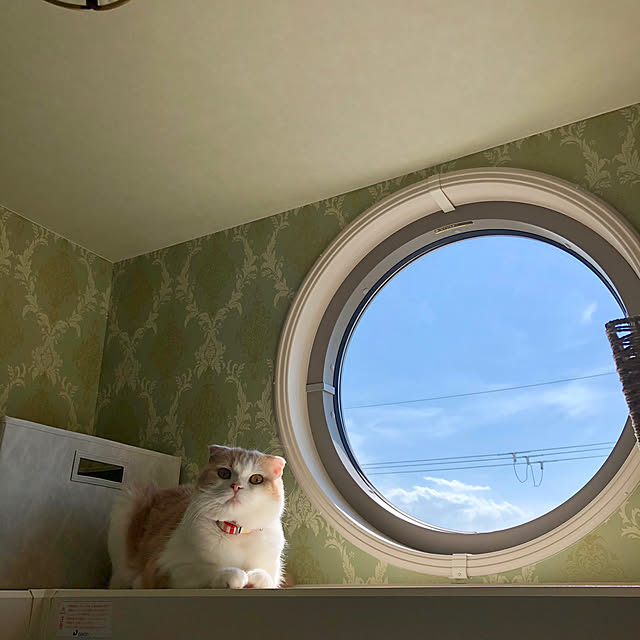 fukuさんの実例写真