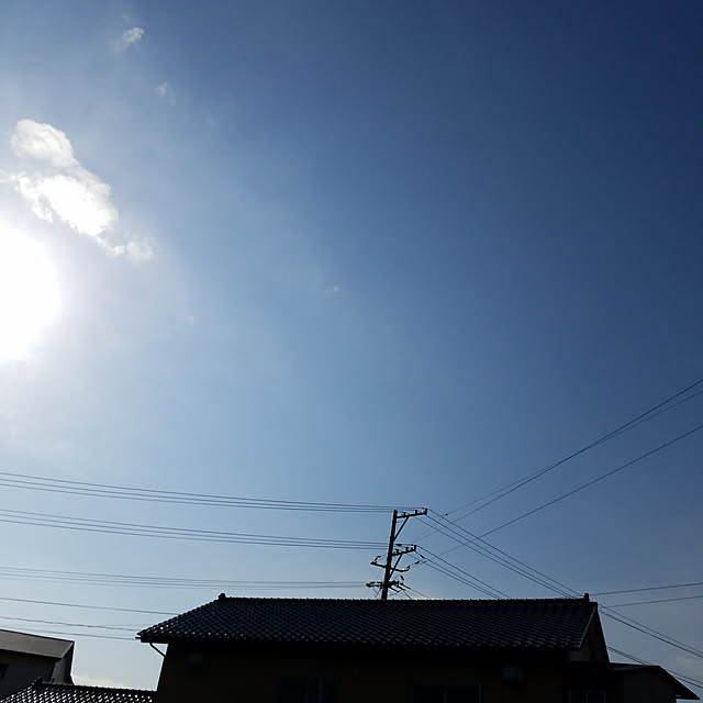 実例写真