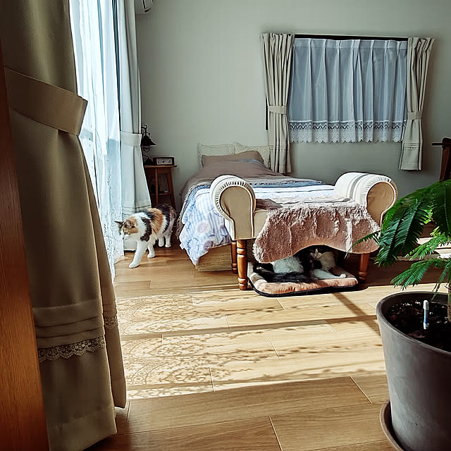 +CHIHARU+さんの実例写真