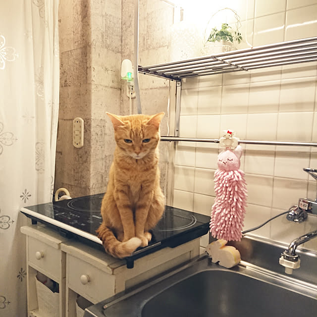 asuminさんの実例写真