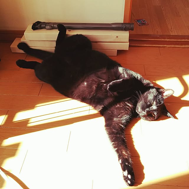 mametarouさんの実例写真