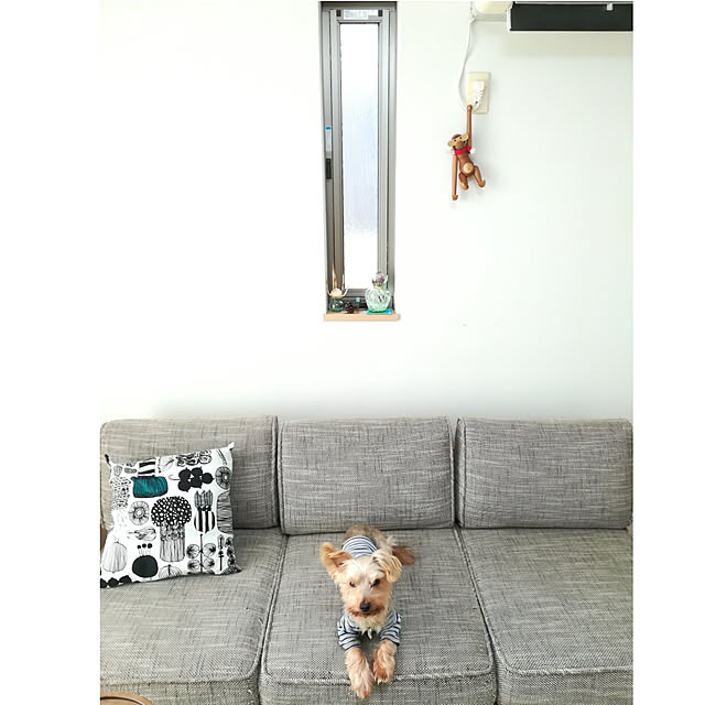 guriさんの実例写真