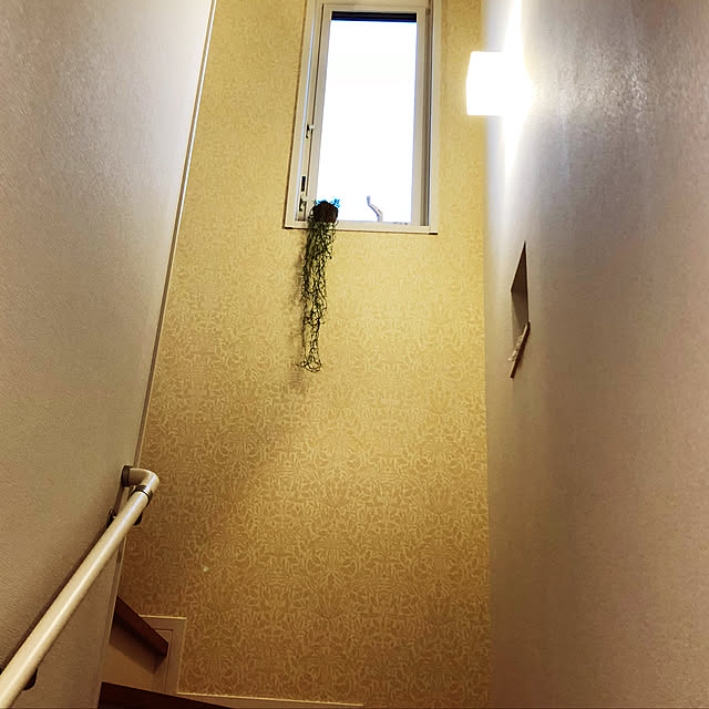 soranoiroさんの実例写真