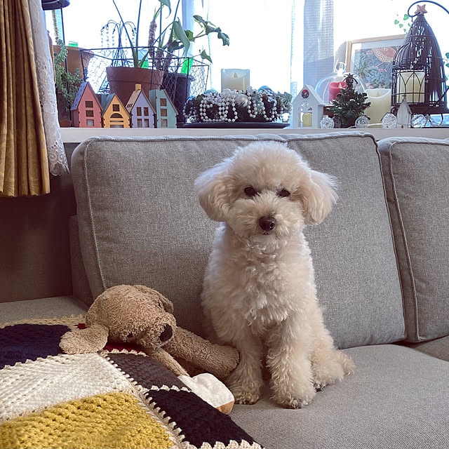 madamkaoriさんの部屋