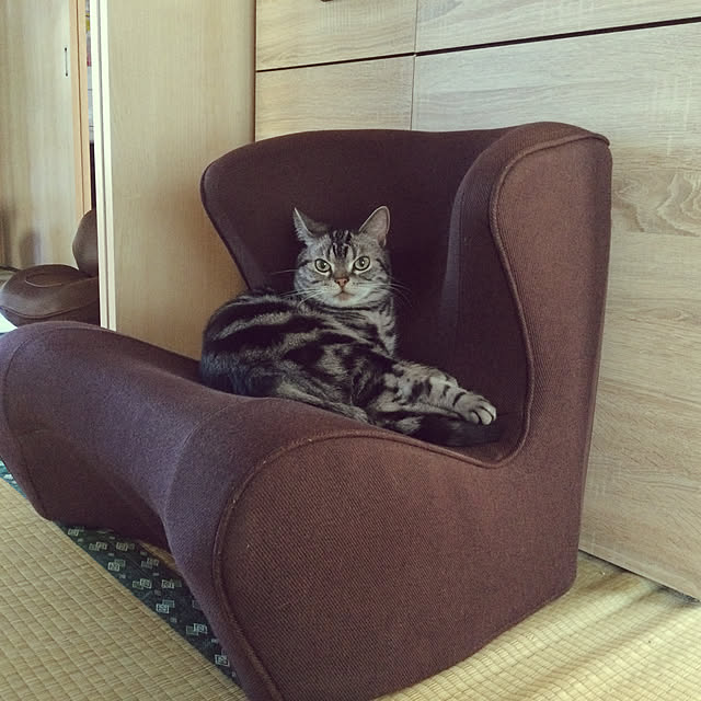 richanさんの実例写真