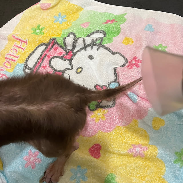 asさんの部屋