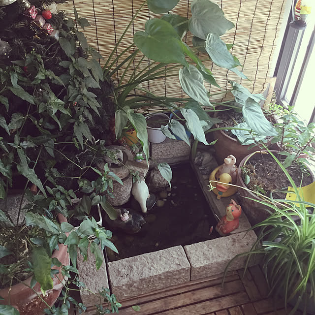 実例写真