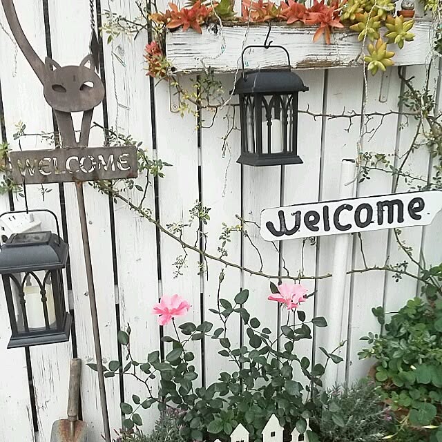 mikiさんの実例写真