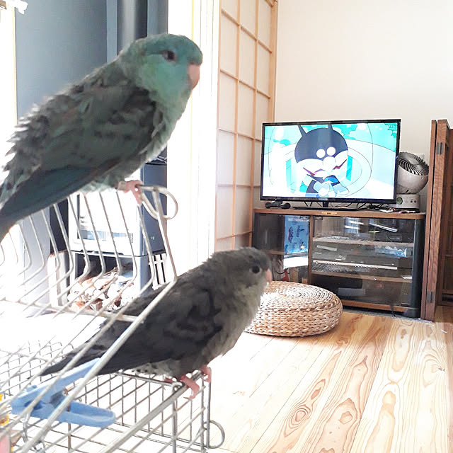 kazuraさんの実例写真