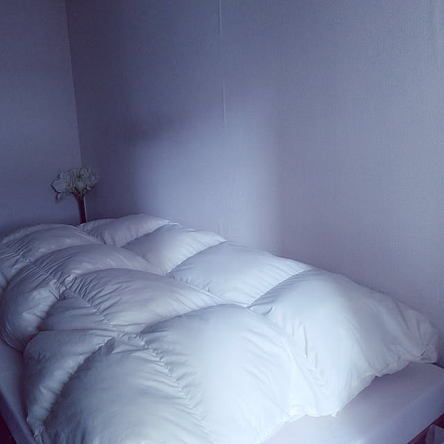 oMoさんの実例写真