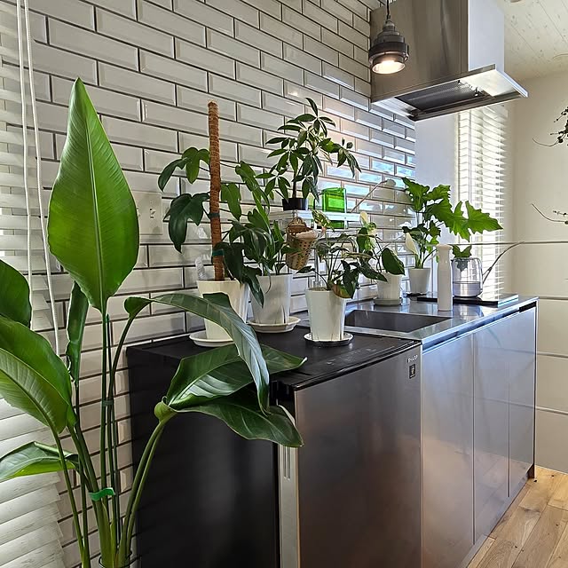 nonbiri_house_さんの実例写真