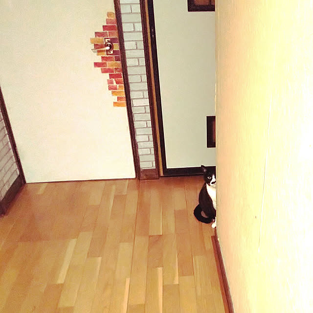 棚/ねこのいる生活/ねこだらけでごめん/DIYした廊下/３びき居ますのインテリア実例 - 2020-04-26 23:49:59