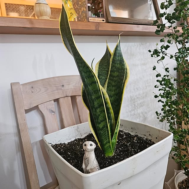 mayumiさんの部屋