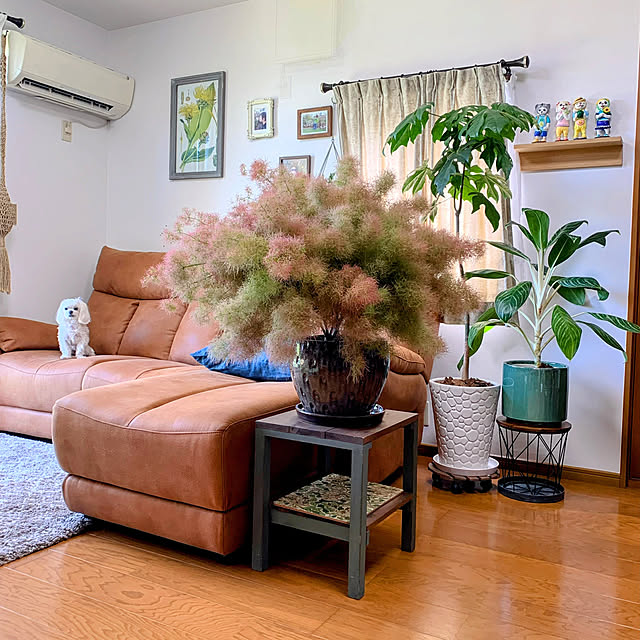 ponyoさんの部屋