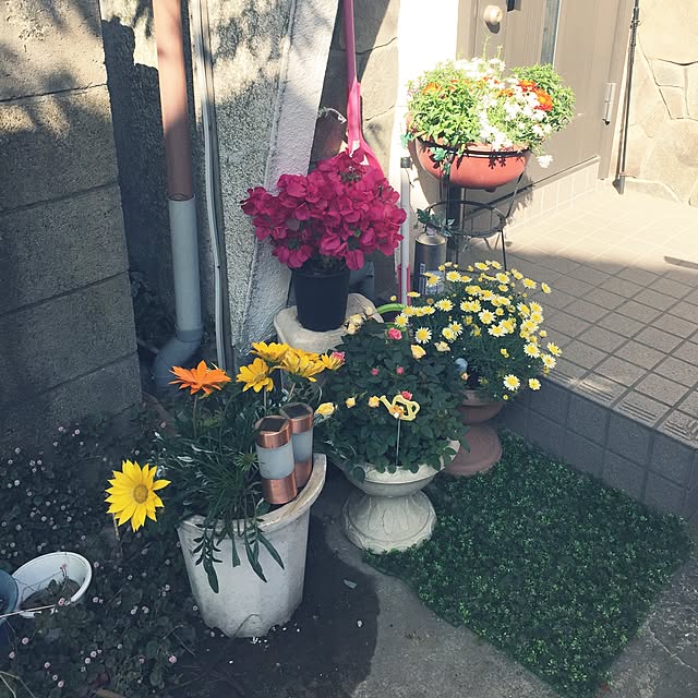 Harumiさんの実例写真