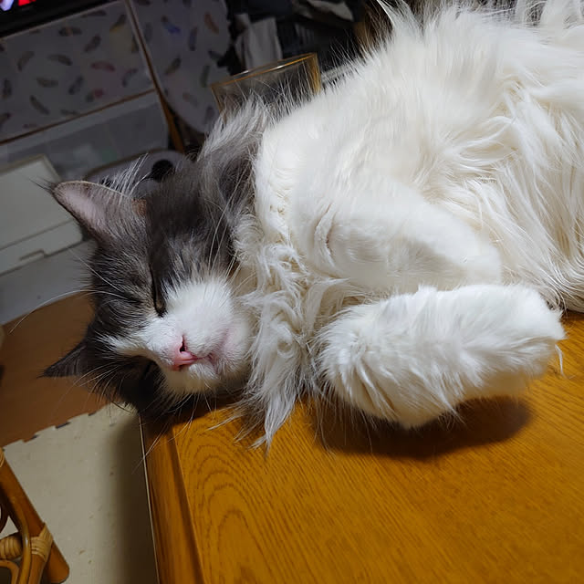 shinobuさんの実例写真