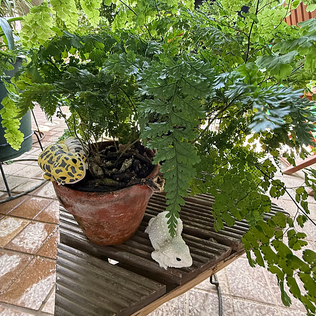 Aqettyさんの部屋