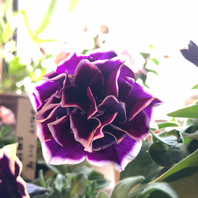 t-blueさんの実例写真