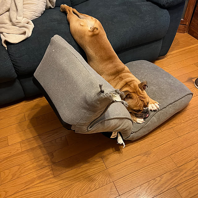 chi_gogaさんの部屋