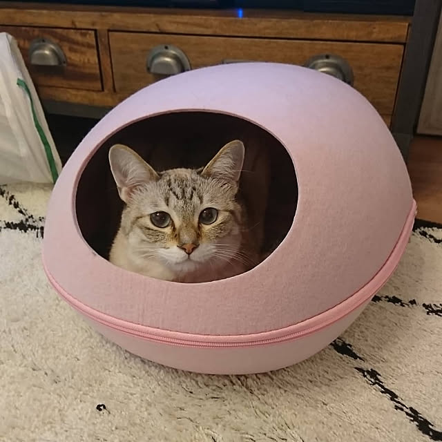poniさんの実例写真