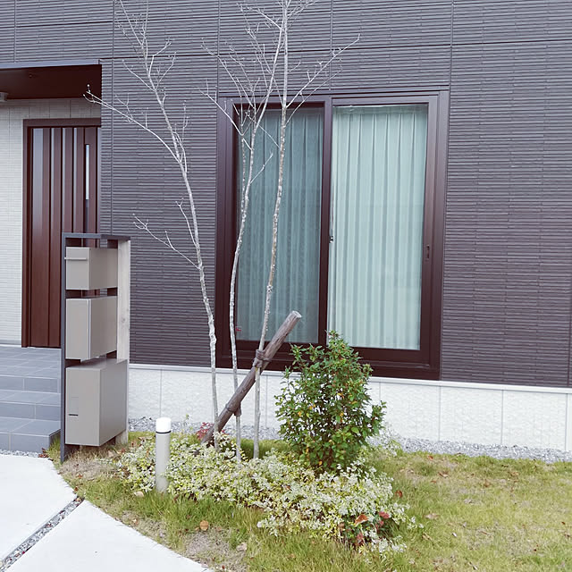実例写真