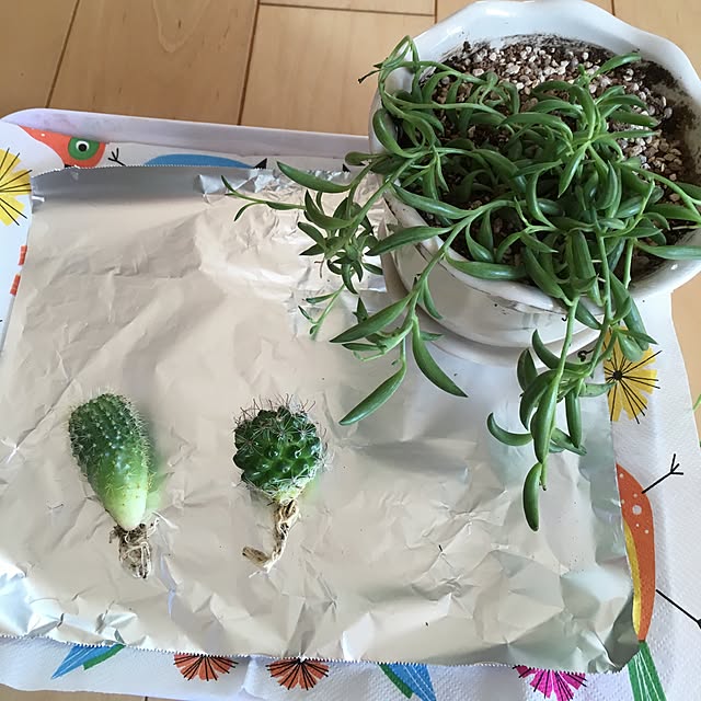 knanataさんの実例写真