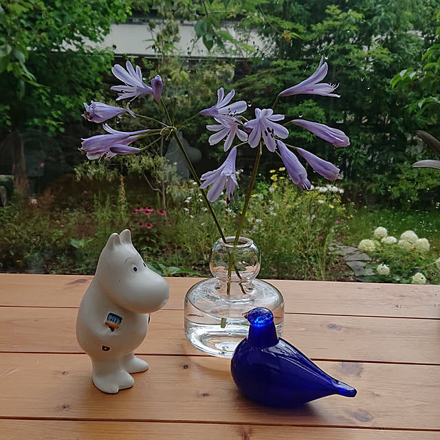 asmaさんの実例写真
