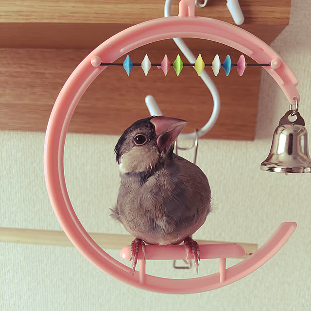 gussuriさんの実例写真
