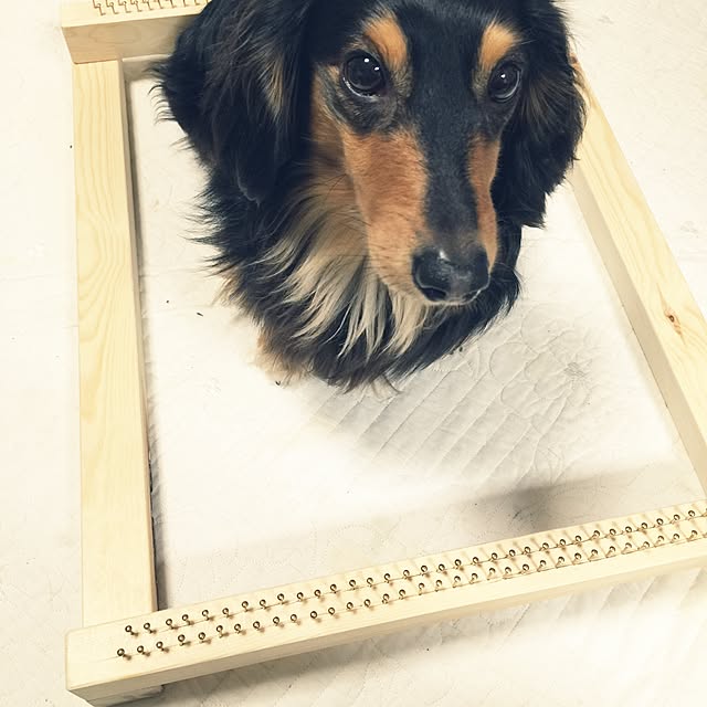 urucotoさんの実例写真
