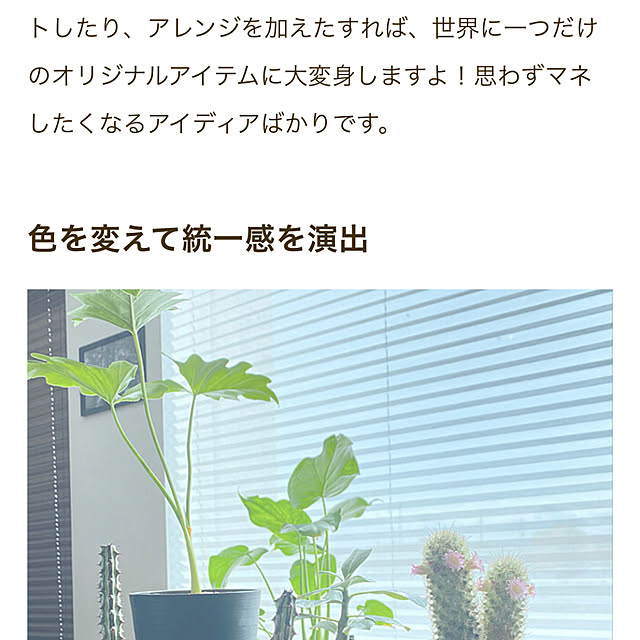 kyananさんの部屋