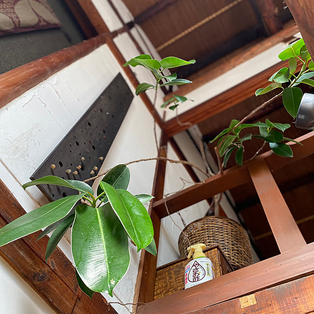 mukuさんの部屋