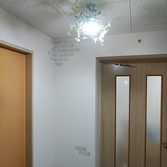 makky819さんの実例写真