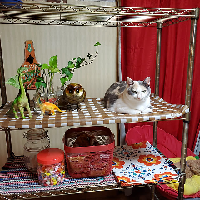 kumutanさんの実例写真