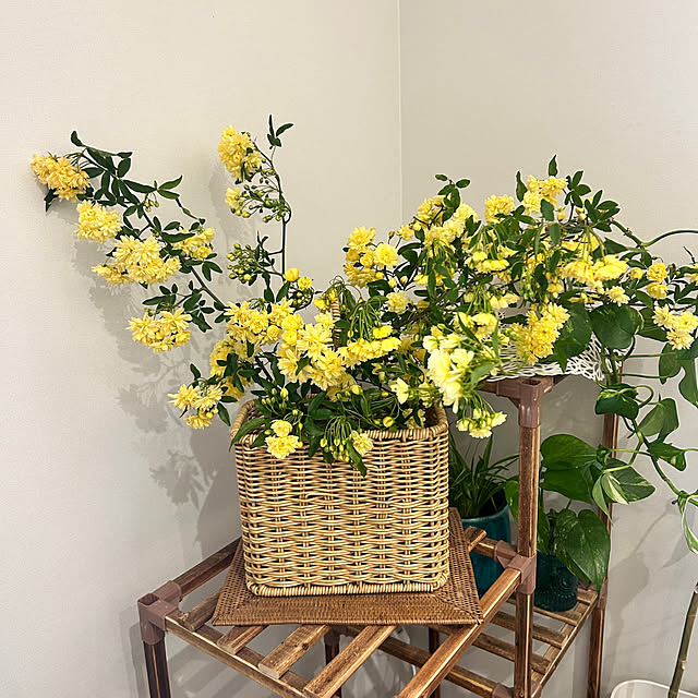 banbinaさんの実例写真