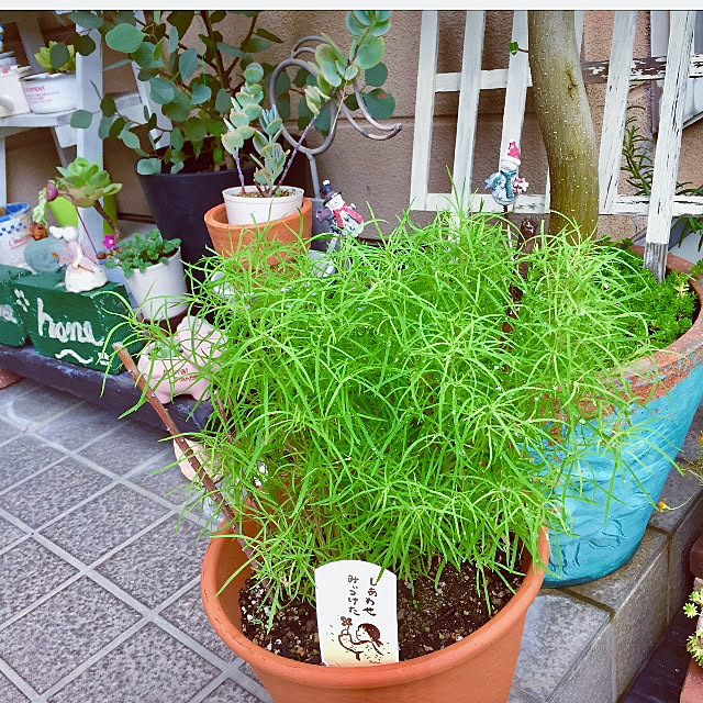 takakoさんの実例写真