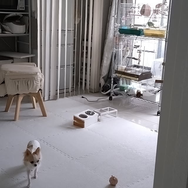 toratanさんの実例写真
