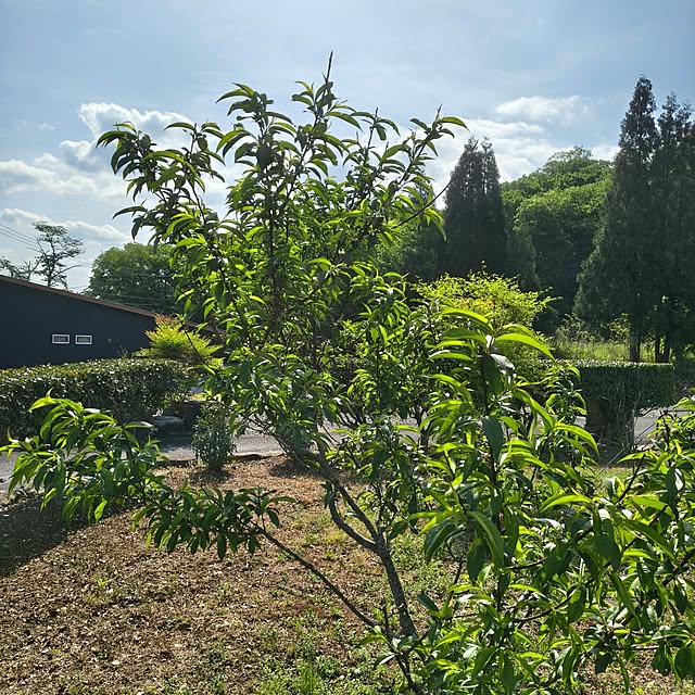 Rubiconさんの部屋