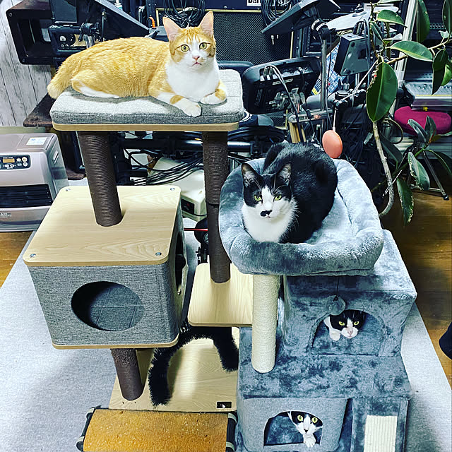 kenta98さんの実例写真