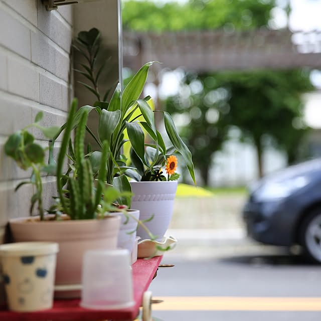実例写真