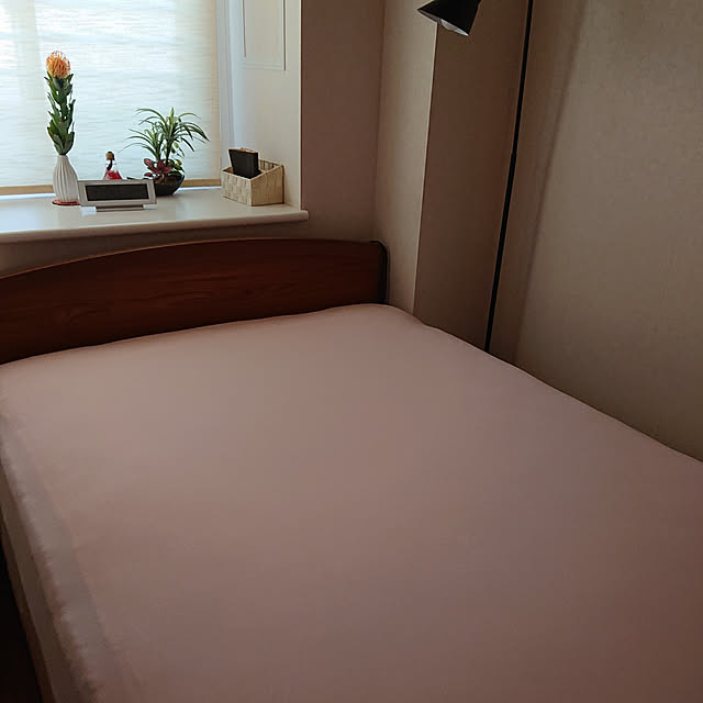 jkabmymycatさんの実例写真